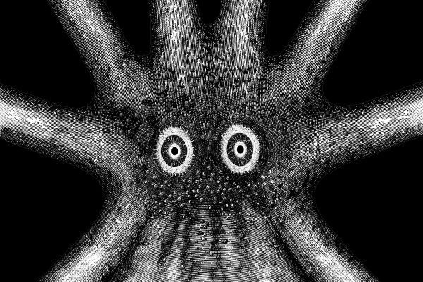 Kraken site